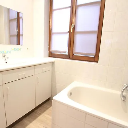 Apartment Les Tanneurs - Hyper Centre Colmar