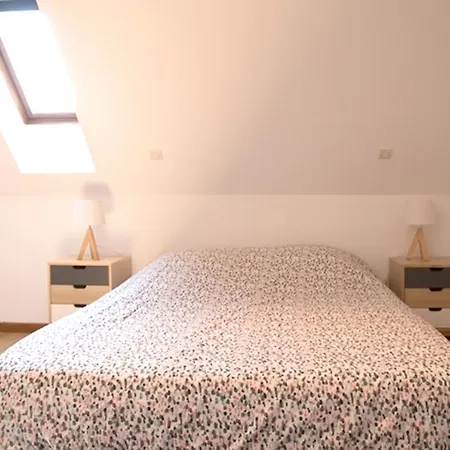 Apartment Les Tanneurs - Hyper Centre Colmar