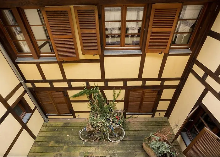 莱斯塔努尔酒店 - 科尔马高档中心 公寓