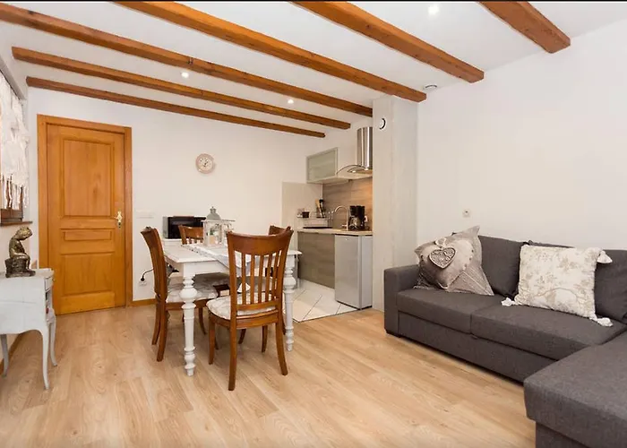 公寓 莱斯塔努尔酒店 - 科尔马高档中心