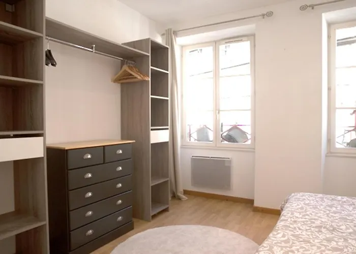 莱斯塔努尔酒店 - 科尔马高档中心 科尔马