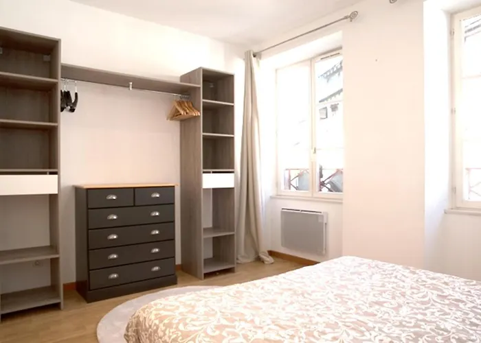 莱斯塔努尔酒店 - 科尔马高档中心 科尔马