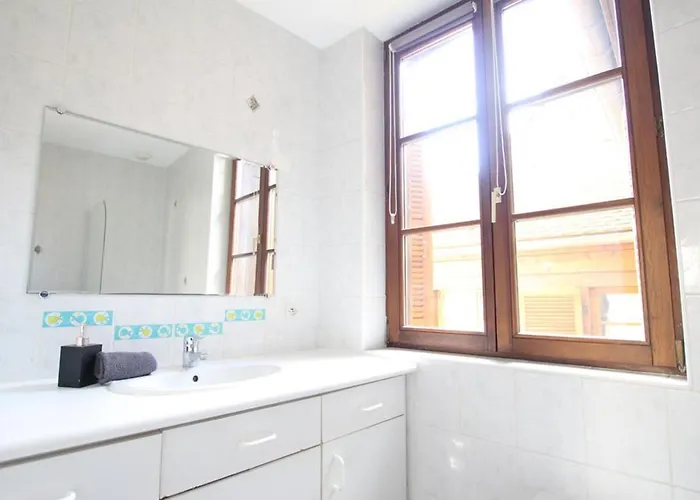 公寓 莱斯塔努尔酒店 - 科尔马高档中心 *