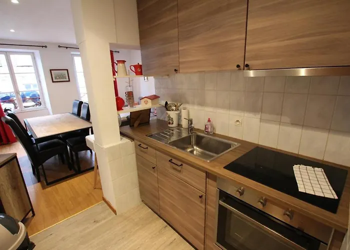 公寓 莱斯塔努尔酒店 - 科尔马高档中心 *