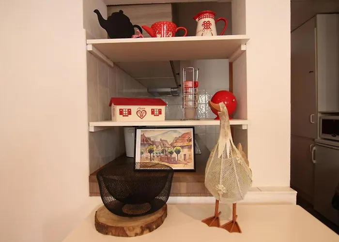 公寓 莱斯塔努尔酒店 - 科尔马高档中心 科尔马