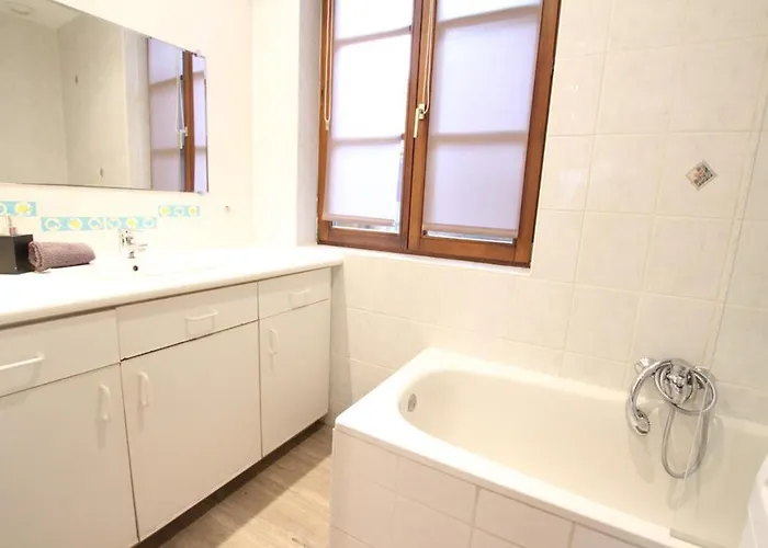 公寓 莱斯塔努尔酒店 - 科尔马高档中心 科尔马