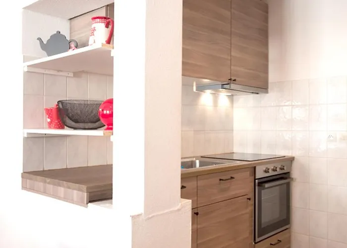 莱斯塔努尔酒店 - 科尔马高档中心 公寓 科尔马