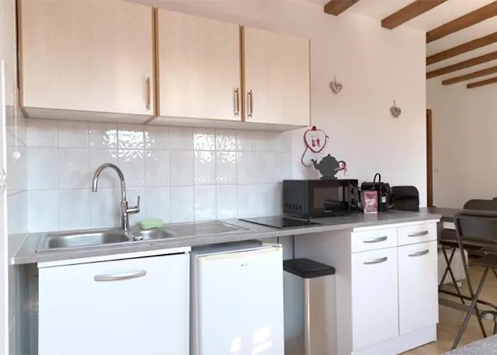 公寓 莱斯塔努尔酒店 - 科尔马高档中心