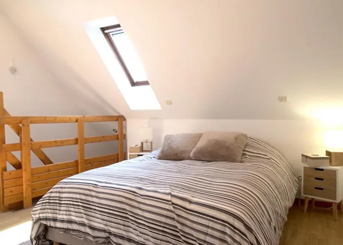 公寓 莱斯塔努尔酒店 - 科尔马高档中心 *