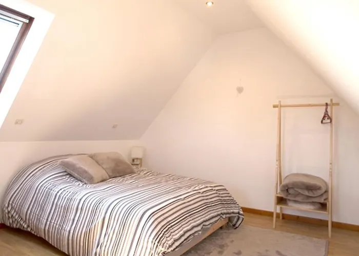 莱斯塔努尔酒店 - 科尔马高档中心 *