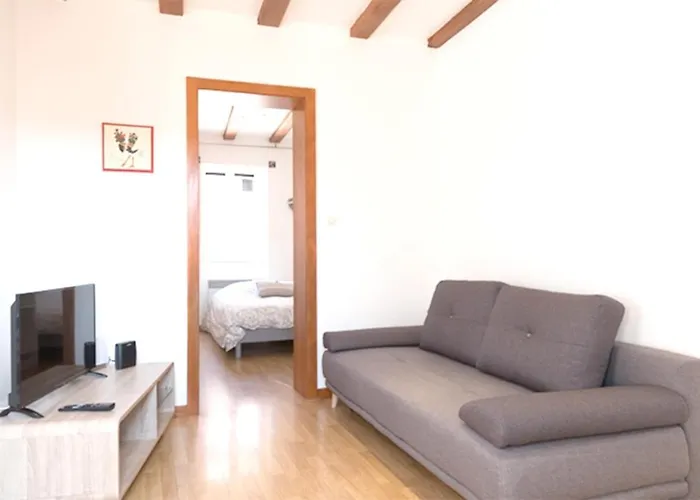 莱斯塔努尔酒店 - 科尔马高档中心 公寓 *