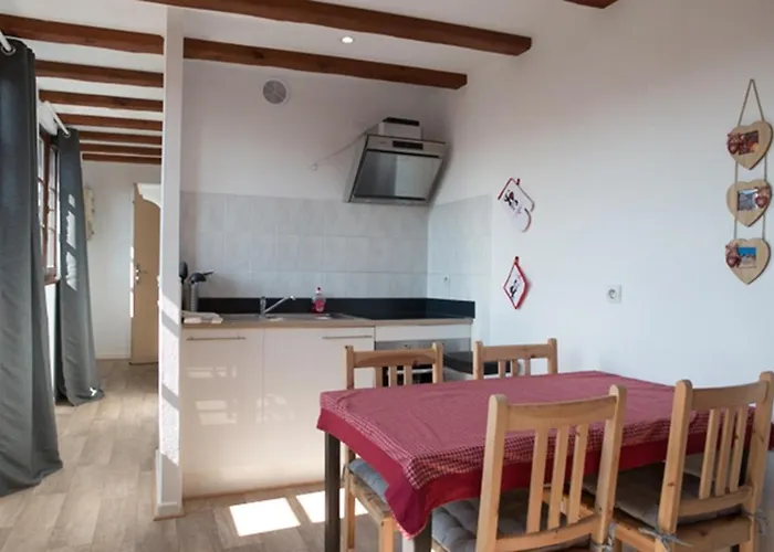 公寓 莱斯塔努尔酒店 - 科尔马高档中心 *