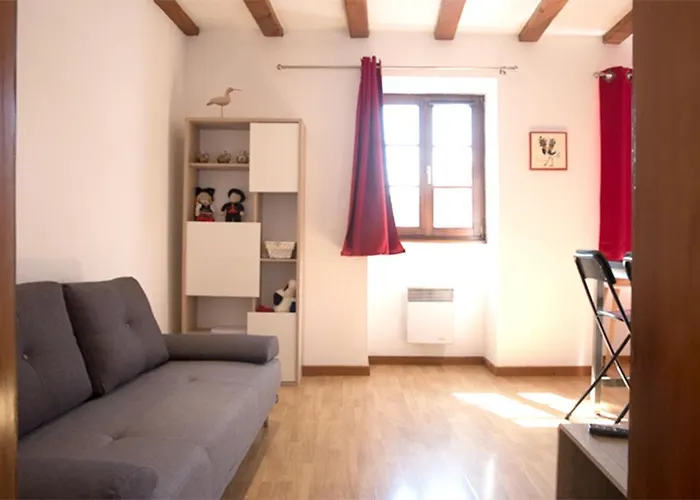 莱斯塔努尔酒店 - 科尔马高档中心 公寓