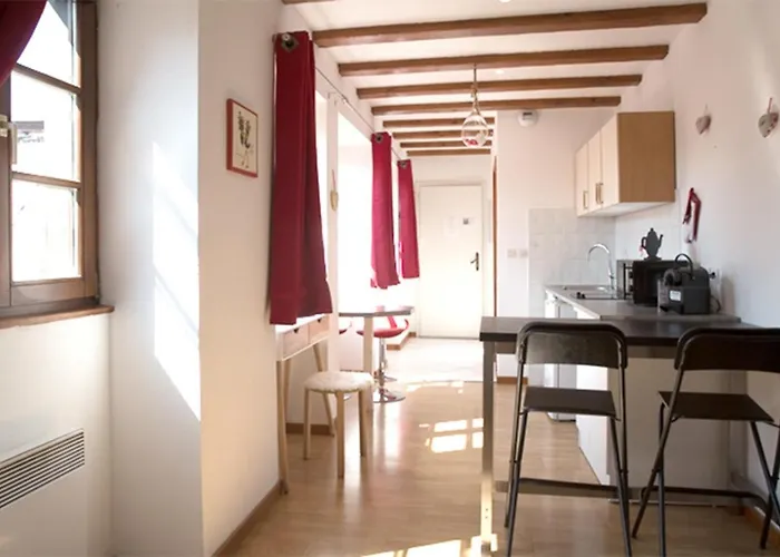 公寓 莱斯塔努尔酒店 - 科尔马高档中心 *