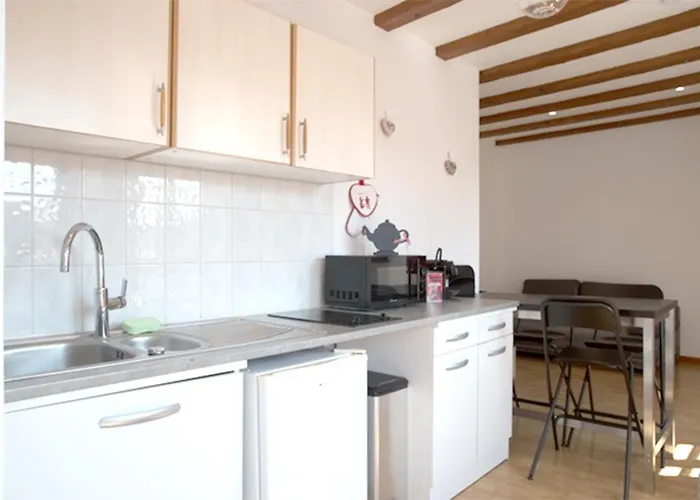 公寓 莱斯塔努尔酒店 - 科尔马高档中心