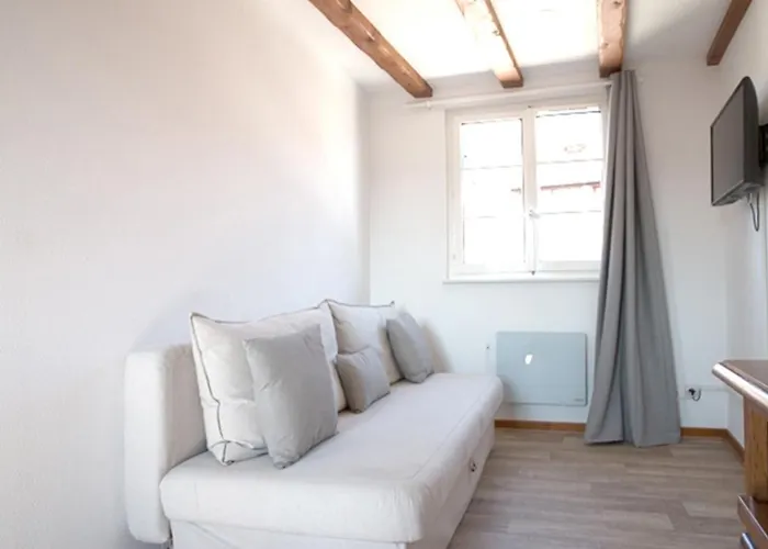 公寓 莱斯塔努尔酒店 - 科尔马高档中心