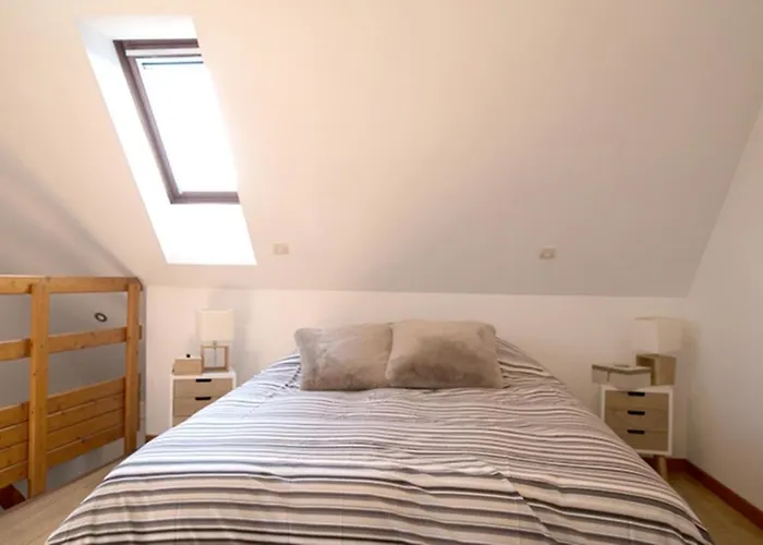 莱斯塔努尔酒店 - 科尔马高档中心