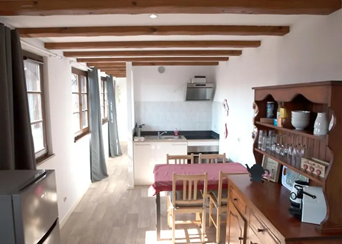 莱斯塔努尔酒店 - 科尔马高档中心 公寓 *