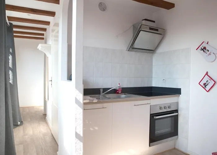 莱斯塔努尔酒店 - 科尔马高档中心 公寓 *