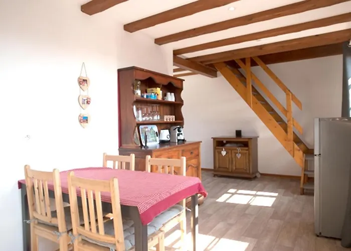 莱斯塔努尔酒店 - 科尔马高档中心 公寓 科尔马