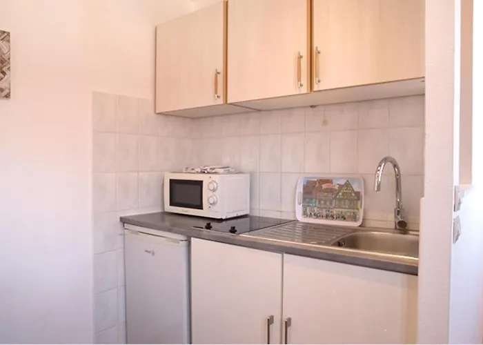 莱斯塔努尔酒店 - 科尔马高档中心 公寓 *