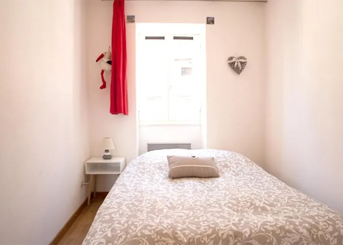 公寓 莱斯塔努尔酒店 - 科尔马高档中心