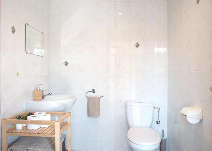 公寓 莱斯塔努尔酒店 - 科尔马高档中心 *