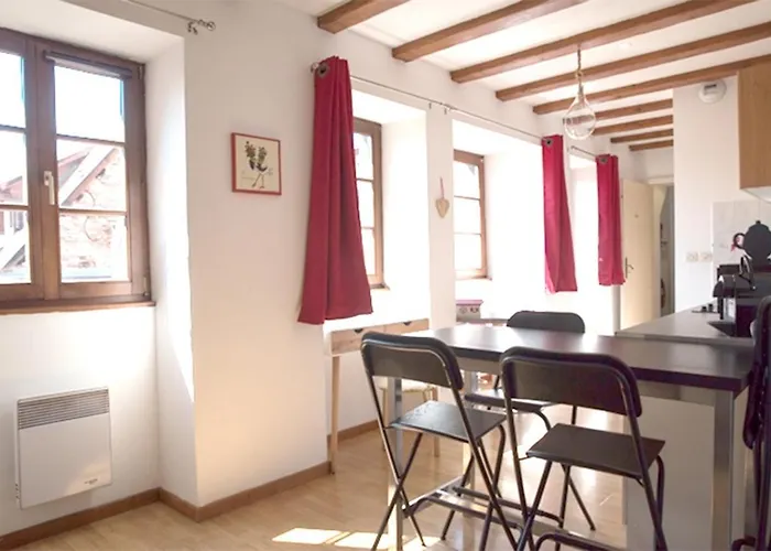 公寓 莱斯塔努尔酒店 - 科尔马高档中心 *