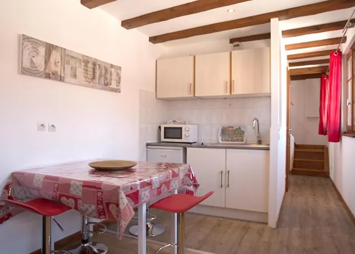 公寓 莱斯塔努尔酒店 - 科尔马高档中心 *