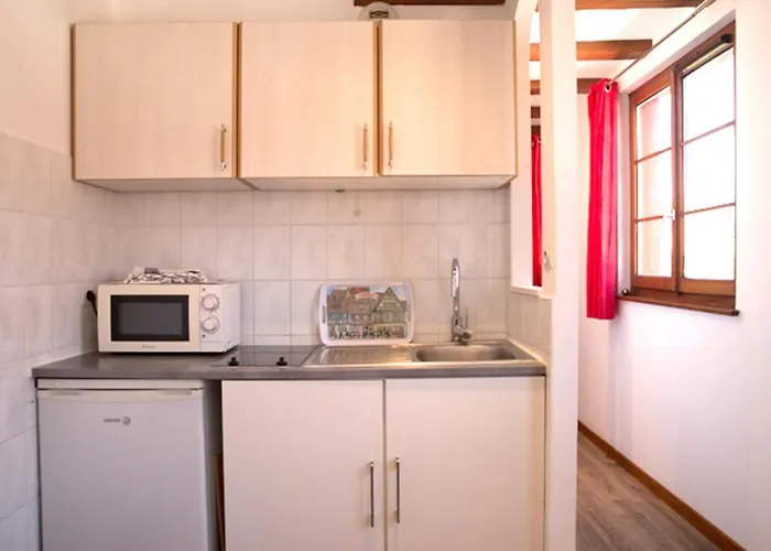 莱斯塔努尔酒店 - 科尔马高档中心 公寓