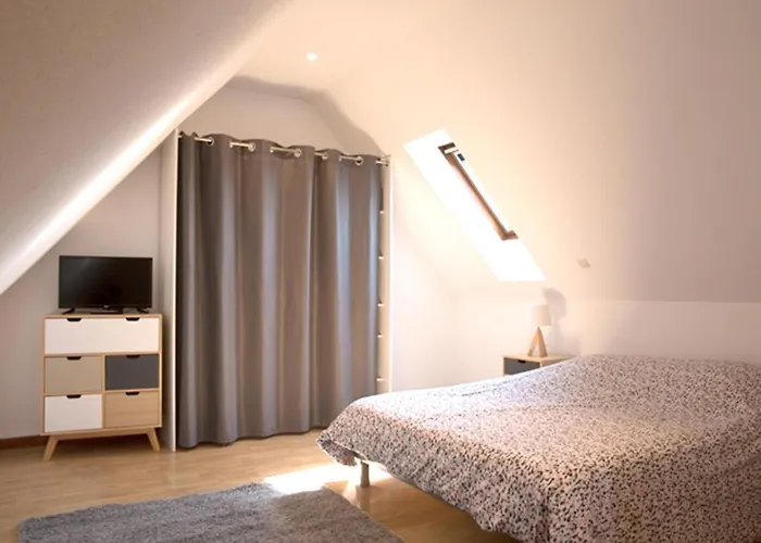 莱斯塔努尔酒店 - 科尔马高档中心 *