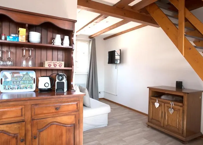 公寓 莱斯塔努尔酒店 - 科尔马高档中心