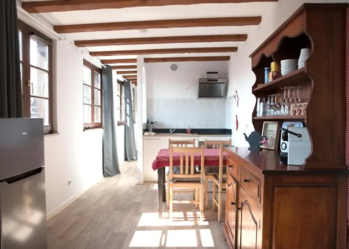 公寓 莱斯塔努尔酒店 - 科尔马高档中心 科尔马