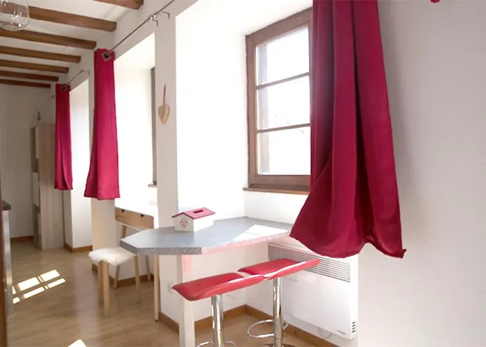 莱斯塔努尔酒店 - 科尔马高档中心 公寓