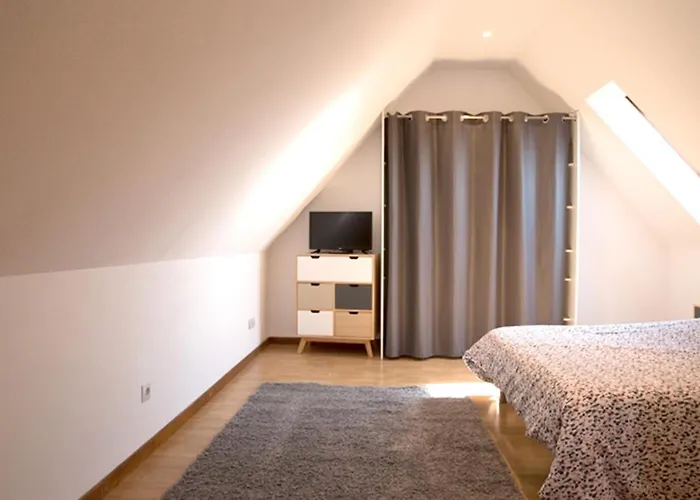 公寓 莱斯塔努尔酒店 - 科尔马高档中心