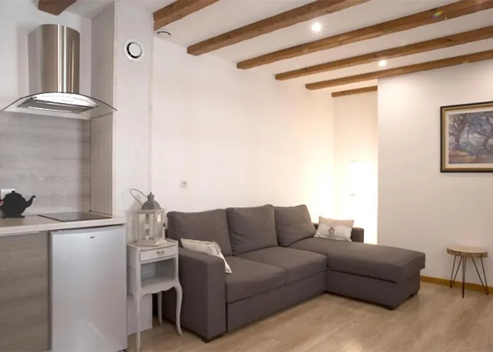 莱斯塔努尔酒店 - 科尔马高档中心 公寓