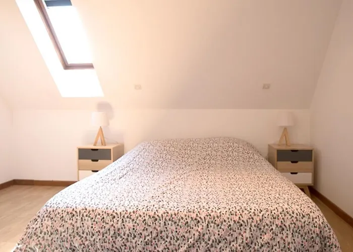 公寓 莱斯塔努尔酒店 - 科尔马高档中心 科尔马