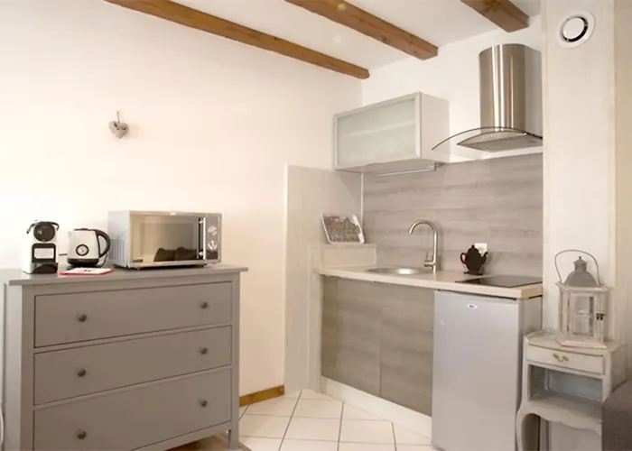 莱斯塔努尔酒店 - 科尔马高档中心 公寓 *