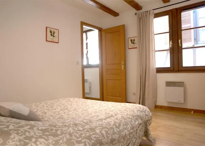 公寓 莱斯塔努尔酒店 - 科尔马高档中心 科尔马