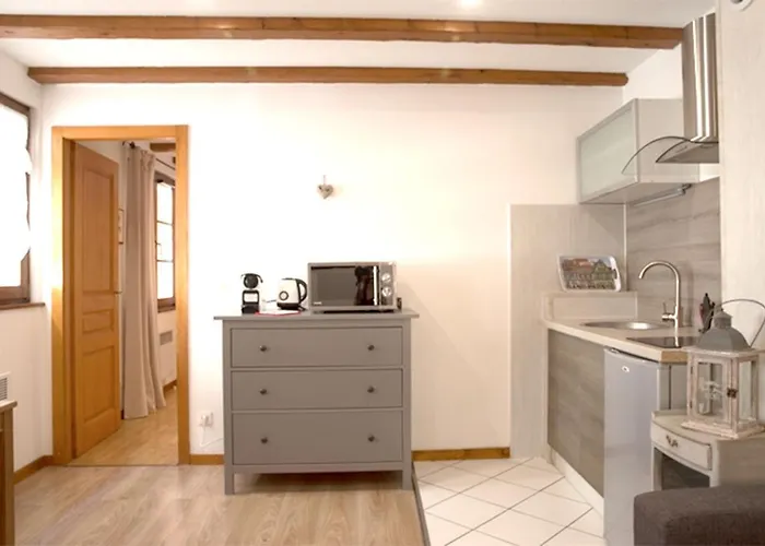 公寓 莱斯塔努尔酒店 - 科尔马高档中心