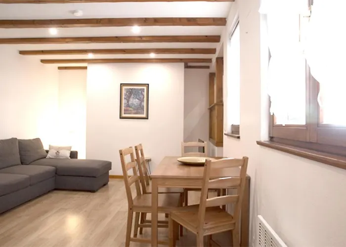 莱斯塔努尔酒店 - 科尔马高档中心 公寓 科尔马