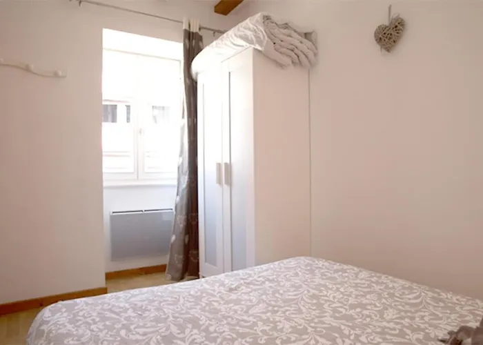 莱斯塔努尔酒店 - 科尔马高档中心 公寓 科尔马