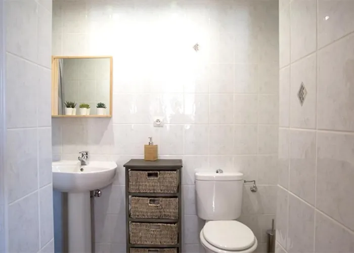 公寓 莱斯塔努尔酒店 - 科尔马高档中心