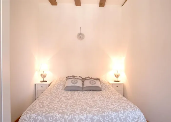 莱斯塔努尔酒店 - 科尔马高档中心 公寓 科尔马