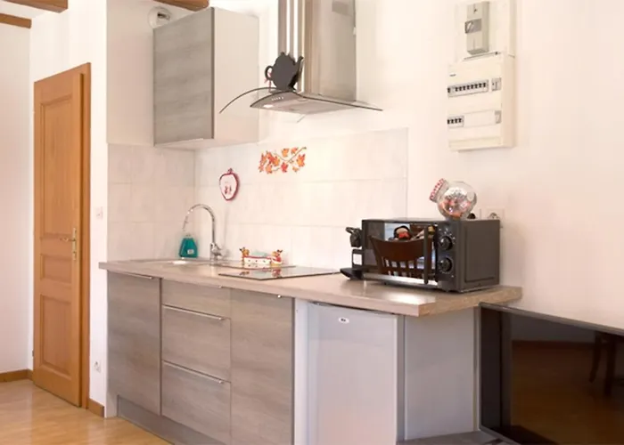 公寓 莱斯塔努尔酒店 - 科尔马高档中心 科尔马