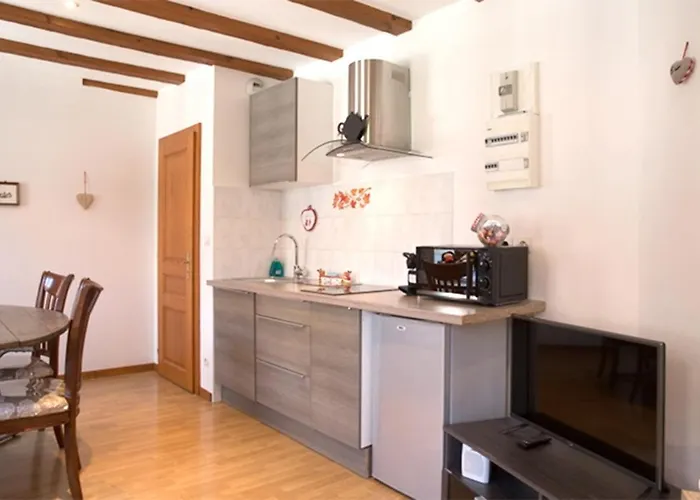 莱斯塔努尔酒店 - 科尔马高档中心 *