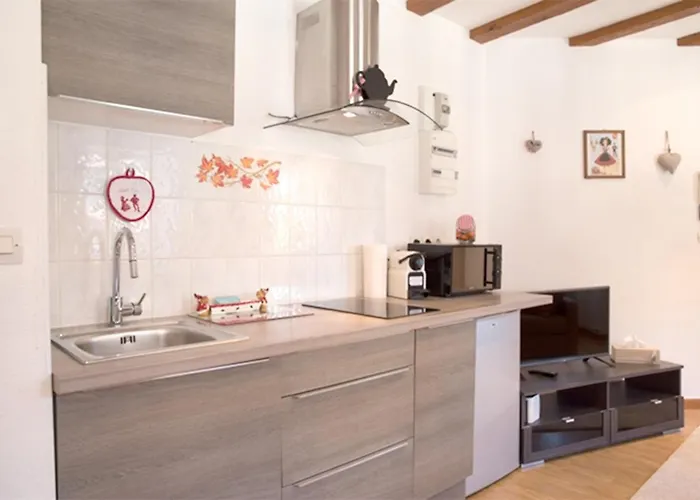 莱斯塔努尔酒店 - 科尔马高档中心 公寓 *